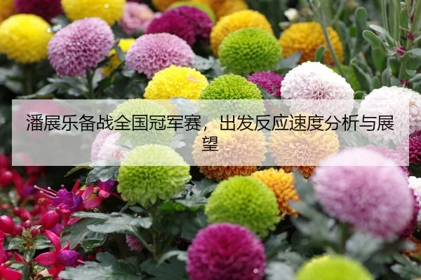 潘展乐备战全国冠军赛，出发反应速度分析与展望