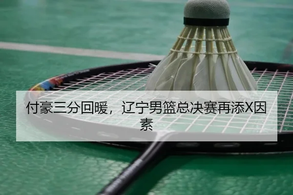 付豪三分回暖，辽宁男篮总决赛再添X因素